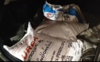 Kios Pupuk Di Dayamurni Tulang Bawang Barat Bebas Jual Pupuk Subsidi Diatas HET dan Tidak Terdaftar e-RDKK