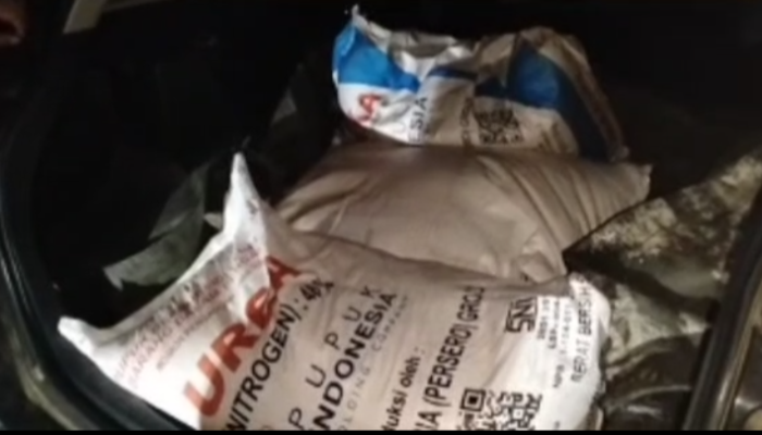 Kios Pupuk Di Dayamurni Tulang Bawang Barat Bebas Jual Pupuk Subsidi Diatas HET dan Tidak Terdaftar e-RDKK