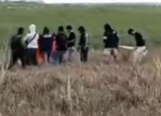 Bunuh Petani di Mesuji, Pelaku Ditemukan Tewas Ditembak di Kebun Singkong