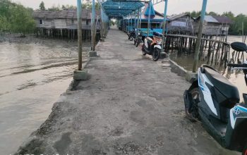Jeritan dari Ujung Riau: Jembatan Satu-Satunya di Desa Dedap Menanti Ambruk, Warga Meranti Titip Harap ke Presiden Prabowo