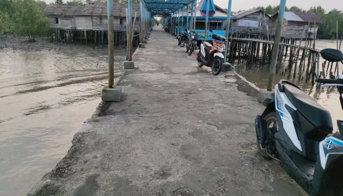 Jeritan dari Ujung Riau: Jembatan Satu-Satunya di Desa Dedap Menanti Ambruk, Warga Meranti Titip Harap ke Presiden Prabowo